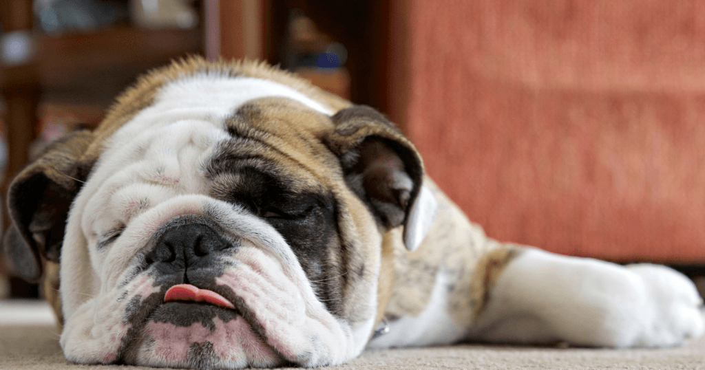 best sleep position to increase oxygen levels 2023