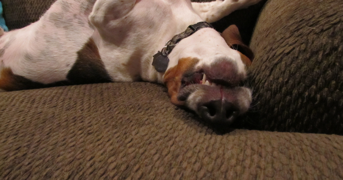 best sleep position to increase oxygen levels 2023